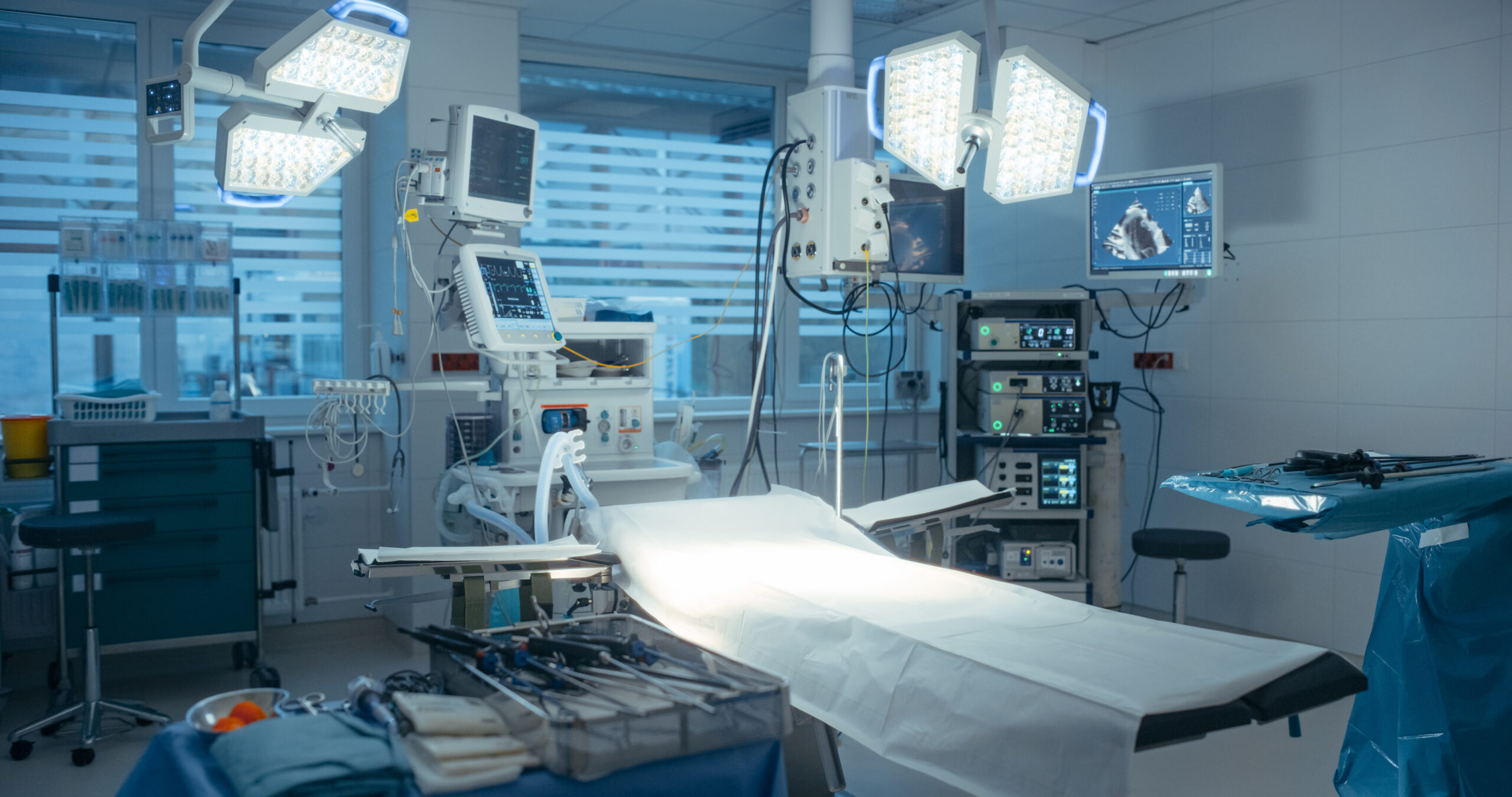 Featured Image for Biomedical IoT: Applications and Challenges in Biomedical Engineering